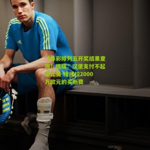 【体彩排列五开奖结果查询】德媒：汉堡支付不起法比奥-维埃拉2000万欧元的买断费