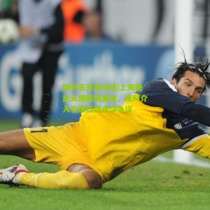 排列五开奖号码|上海德比火爆腔调重现，视频介入引爆红牌点球争议