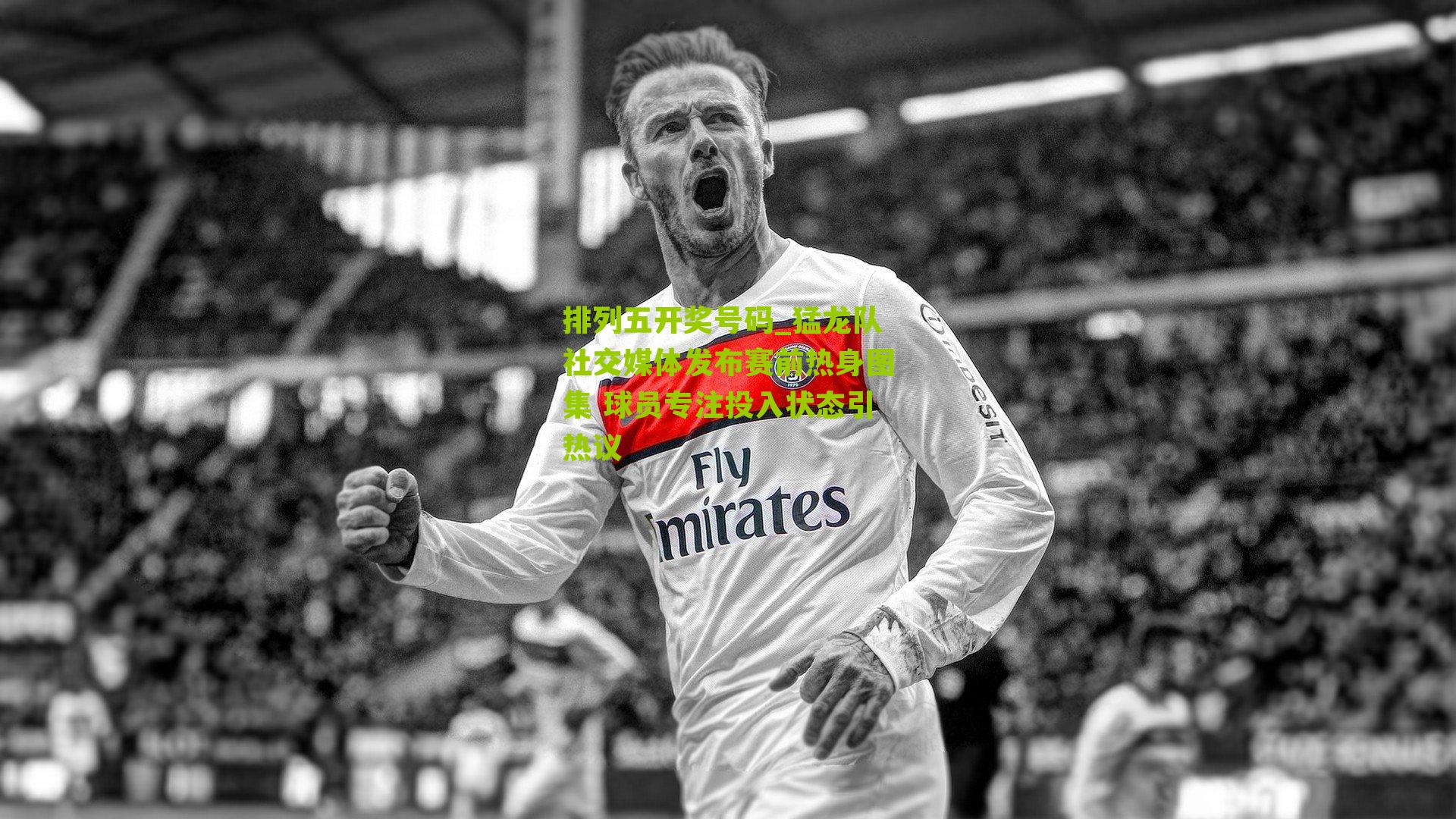 猛龙队社交媒体发布赛前热身图集 球员专注投入状态引热议